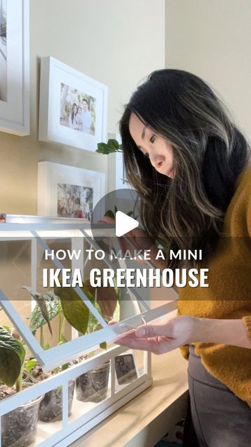 Michelle A. on Instagram: "Follow along to see how I use this in different ways 🫶 This Mini IKEA Greenhouse is an easy, beginner-level DIY project and it’s so perfect for quarantining new plants, housing propagations, and growing small plants in higher humidity. The price point is also super affordable! Comment “𝔾ℝ𝔼𝔼ℕℍ𝕆𝕌𝕊𝔼” and I’ll share everything I used to convert this $22 decorative box into a functioning greenhouse. It’s also all Iinked on my 📄. If you want to see how I converted an IKEA Baggebo cabinet into a greenhouse, see the pinned reel or my Story Highlights 🫰. I may have weatherstripped this a little 𝘵𝘰𝘰 well because 98% is nuts. When I leave the door propped open, it hovers around 70% so I’ll probably leave it open or just remove the silicone seals. To still incre Herb Greenhouse Mini, Mini Indoor Greenhouse Diy, Indoor Herb Greenhouse, Indoor Herb Garden Diy Mini Greenhouse, Plant Greenhouse Indoor, Indoor Greenhouse Ikea, Ikea Plant Hack, Ikea Greenhouse Ideas, Diy Tabletop Greenhouse