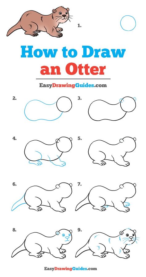 Learn How to Draw an Otter: Easy Step-by-Step Drawing Tutorial for Kids and Beginners. #Otter #DrawingTutorial #EasyDrawing See the full tutorial at https://easydrawingguides.com/how-to-draw-an-otter/. Otter Step By Step Drawing, How To Draw An Otter Step By Step, How To Draw Otter, Otter Painting Easy, How To Draw An Otter, Otter Drawing Sketches, Diy Otter, How To Draw Animals Step By Step, Draw An Otter