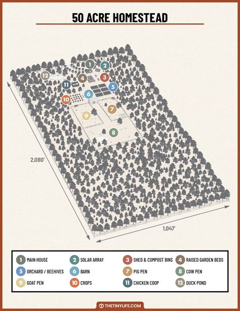 Designing A 50 Acre Homestead Layout - The Tiny Life Acre Homestead Layout, Homestead Layout, Living Off Grid, Acre Homestead, Farm Plans, Homestead Farm, Farm Layout, Homesteading Skills, Living Off The Land