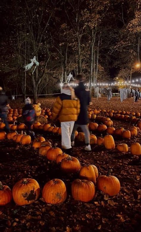 Fall Vibes With Boyfriend, Halloween Family Aesthetic, Fall Dates For Couples Aesthetic, Date Ideas Halloween, Autumn Relationship Aesthetic, Spooky Couple Aesthetic, Halloween Dates Ideas, Boyfriend Fall Aesthetic, Cute Fall Couples Pictures