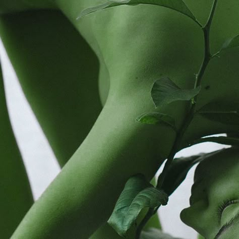 Green Dancer Aesthetic, Orange Skin Aesthetic, Green Tiefling Aesthetic, Green Skin Character, Green Skin Aesthetic, Green Character Aesthetic, Green Tiefling, Nightshade Aesthetic, Temple Guard