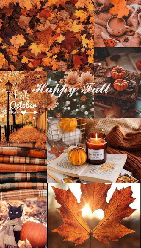 Fall Wallpaper Aesthetic, Autumn Phone Wallpaper, Collage Mural, Fall Picnic, Map Compass, Halloween Wallpaper Cute, Girly Wallpapers, Cute Fall Wallpaper, Iphone Wallpaper Fall