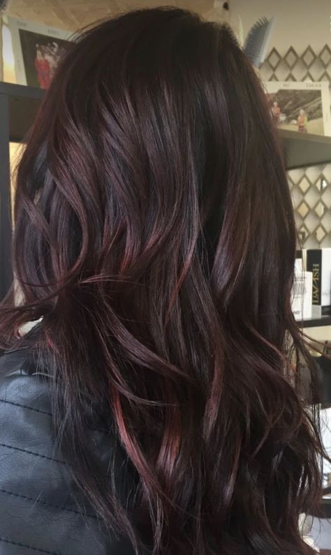 Burgundy Undertone Hair, Black Hair With Tint Of Red, Dark Hair With Burgundy Tint, Chocolate Cherry Highlights On Black Hair, Dark Brunette Hair Ideas Colour, Black Hair Mahogany Highlights, Brownish Red Highlights On Black Hair, Dark Hair Cherry Highlights, Red Partial Balayage