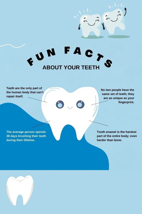 Did you know facts #healthyteeth #oralcare #didyouknowfacts #teethfacts Dental Facts Did You Know, Dental Instagram Posts, Dental Post, Content Template, Dental Assistant Study, Dental Posts, Dental Tips, Dental Fun, Worker Bee