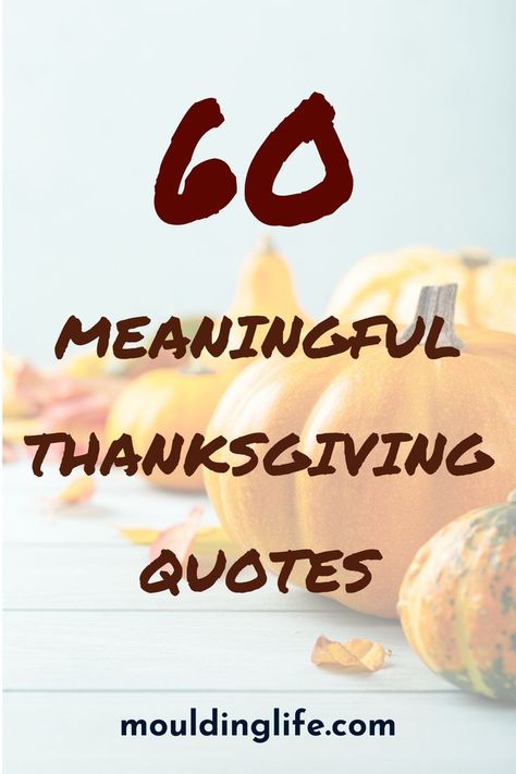 60 meaningful thanksgiving quotes Thanks Giving Verses, Thank You Quotes For Thanksgiving, Thanksgiving Greatful Quotes, Thanksgiving Blessings Quotes Be Thankful, Happy Thanksgiving Grateful For You, Thanksgiving Greetings Quotes Family, This Thanksgiving Quotes, Thanksgiving Reflection Quotes, Thanksgiving Messages Friends