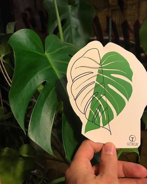 Monstera Tattoo, Plant Tattoo, Line Art Tattoos, Monstera Plant, Monstera Deliciosa, Tattoo Inspo, Color Tattoo, New Series, New Tattoos