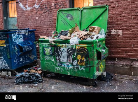 Download this stock image: garbage in a dumpster back alley vancouver canada - 2HAAGG8 from Alamy's library of millions of high resolution stock photos, illustrations and vectors. Dumpster Reference, Tmnt Diorama, Oc Interactions, Garbage Dumpster, Annoying Brother, Trash Dump, Back Alley, Life Drawing Reference, Dumpsters