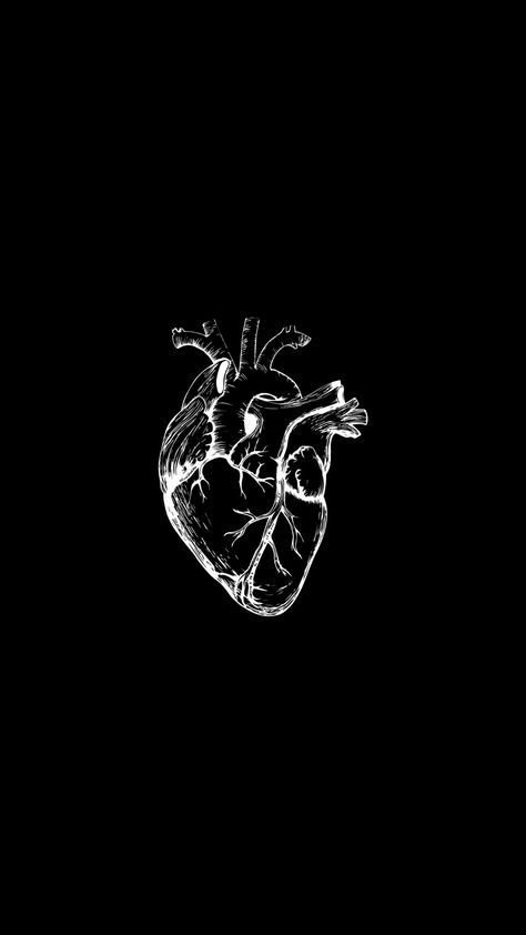 Human heart wallpaper Cardiology Wallpaper, Human Heart Wallpaper, Human Heart, Cardiology, Heart Wallpaper, Human