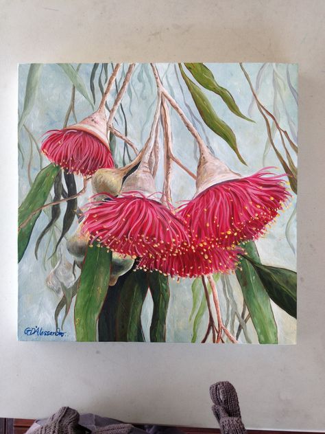 Gumnuts And Leaves, Australian Native Flower Painting, Gumnut Painting, Botanical Art Drawing, Eucalyptus Art, Eucalyptus Flowers, Flowering Gum, Eucalyptus Flower, Gum Leaves