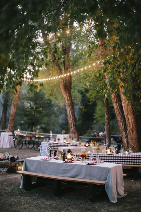 Backyard Beer Garden Party, Elevated Bbq Wedding, Moonshine Wedding, Picnic Table Wedding, Outdoor Wedding Tent, Bbq Rehearsal Dinner, Harvest Dinner, Backyard Reception, Outdoor Dinner Parties