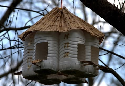 Bird Feeder Craft, Backyard Creations, Bird Houses Ideas, Bird Houses Ideas Diy, Winter Birds, Diy Bird Feeder, Rope Crafts Diy, Bedroom Crafts, Diy Birds