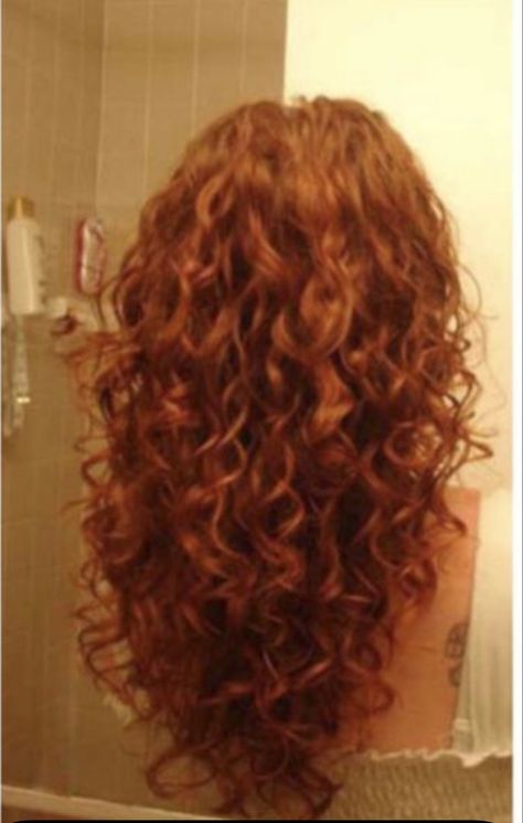 Wavy Ginger Hair, Ginger Curly Hair, Ginger Curls, Curly Ginger Hair, Curly Hair Inspo, Natural Curly Hair Cuts, Red Curly Hair, Curly Hair Photos, Haircut Inspo