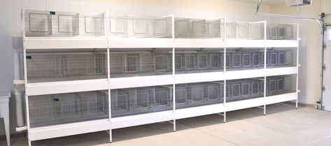 Ultimate rabbit cage system Wire Rabbit Cages, Rabbit Supplies, Show Rabbits, Homesteading Animals, Garage Systems, Rabbit Farm, Bunny Hutch, Meat Rabbits, Raising Rabbits