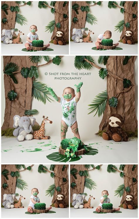 Jungle Wild One First Birthday, 2 Wild Birthday Photoshoot, Animal Smash Cake Jungle, Wild One Letters, Wild One Birthday Party Photoshoot, Wild One First Birthday Cake Smash, Jungle Theme Cakes 1st Birthday, Woodlands Cake Smash, Safari Birthday Smash Cake