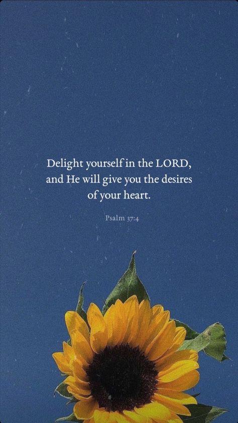 Prayers Of Encouragement, Christian Quotes Wallpaper, Bible Verse Background, Bible Verses About Love, Bible Quotes Wallpaper, Jesus Wallpaper, Inspirational Bible Quotes, Bible Verses Quotes Inspirational, Bible Quotes Prayer