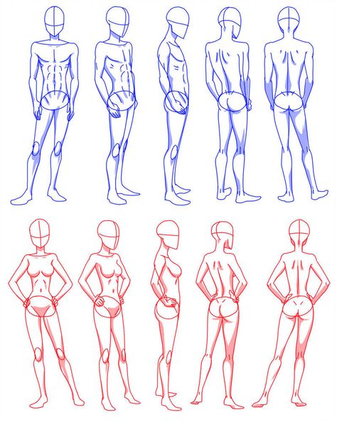 body rotation by Flipfloppery Body Angles Drawing Pose Reference, Teen Body Anatomy Drawing, Body Rotation Reference, Body Different Angles, Anime Body Shape, Body Positions Drawing, Woman Body Reference Drawing, Character Rotation, Body Shape Chart