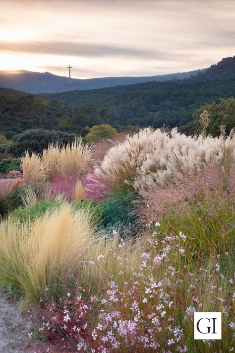 Designer Álvaro Sampedro's garden in Spain Natural Planting Design, High Grass Garden, Garden With A View Landscaping, Rose And Grass Garden, Long Grass Garden, Garden Design Grasses, Landscape Design Drought Tolerant, Wild Grass Garden, Gardening With Grasses