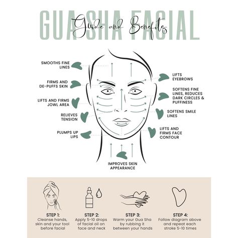 Gua Sha - Ekologicall Essential Skin Care Products, Gua Sha Face And Neck, Gua Sha Map, Ga Sha Tool How To, Face Massage With Gua Sha, How To Use Gua Sha On Face, How To Gua Sha Face, How To Use A Gua Sha, Gua Sha Technique Face