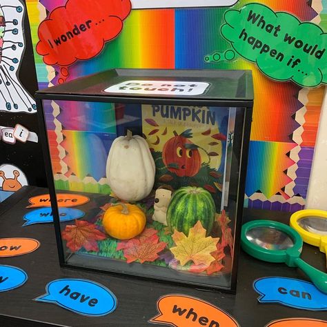 Autumn Curiosity Cube, Curiosity Box Ideas, Curiosity Jar, Nursery Room Ideas Childcare, Curiosity Approach Eyfs, Autumn Eyfs, Year 1 Classroom, Season Activities, Curiosity Box