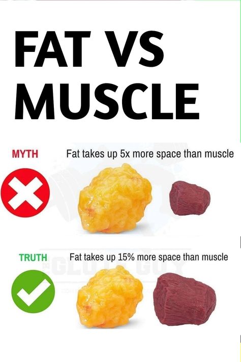 Same Weight Fat Vs Muscle, Fat Vs Muscle, Fitness Posters, One Pound Of Fat, Nutrition Classes, Green Meals, Food Motivation, Lean And Green Meals, Pound Of Fat