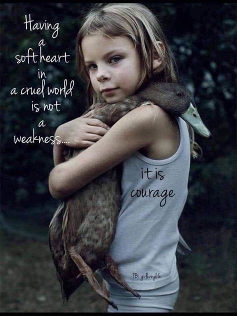 Soft Heart, Foto Vintage, Animal Quotes, Wise Quotes, A Quote, True Words, Great Quotes, Wisdom Quotes, Beautiful Words