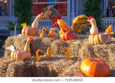 Chicken Pumpkins Decorated, Barnyard Pumpkin Decorating, Farm Themed Pumpkins, Chicken Pumpkin Carving Ideas, Chicken Trunk Or Treat, Halloween Farm Animals, Farm Animal Pumpkin Decorating, Farm Pumpkin Carving Ideas, Farm Pumpkin Decorating