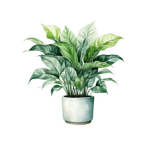 Elevate your creative projects with the enchanting charm of these watercolor houseplants in pots clipart. Each illustration showcases the beauty of indoor plants in decorative pots, perfect for adding a touch of nature to your designs. Whether you're crafting invitations, home decor, or other creative endeavors, these hand-painted digital graphics will infuse your projects with the essence of lush greenery. 10 High Quality JPG files White Background 4096 X 4096 --- What you will receive? --- When you purchase this design from my shop you will immediately receive 3 .rar files that have the above mentioned clipart images. PLEASE NOTE: No physical product will be shipped to you. This is an instant download. After purchase, you can access your downloads by visiting your Etsy Profile > Purchase Flower Pot Watercolor, Plant Watercolor, Plant Clips, Watercolor Png, Watercolor Bouquet, Watercolor Plants, Decorative Pots, Plant Pictures, Plant Illustration