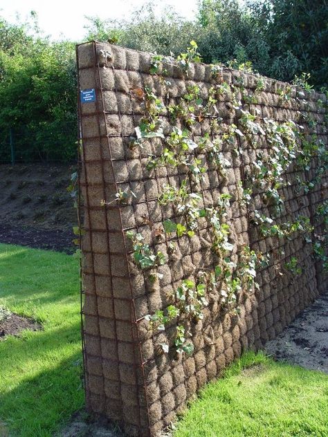 Green Garden Wall, Living Fence Ideas, Living Walls Outdoor, Living Fences, Fence Weaving, Gabion Fence, Natural Fence, Cheap Fence, Living Fence