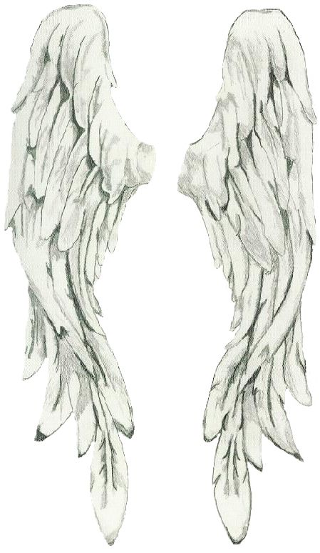 Angel Wing Art Reference, Feathered Wings Drawing, Closed Wings Tattoo, Angel Wings Sketch, Angel Wing Drawing, Angel Wings Wallpaper, Wing Painting, D N Angel, Wings Sketch