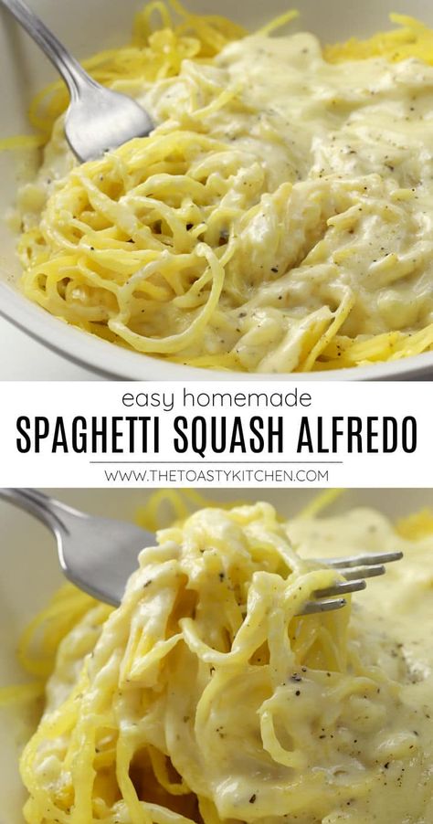 Squash Meals, Spaghetti Squash Chicken Alfredo, Spaghetti Squash Alfredo, Alfredo Spaghetti, Squash Alfredo, Easy Spaghetti Squash, Spaghetti Squash Recipes Healthy, Spaghetti Squash Recipes Easy, Roasted Spaghetti Squash