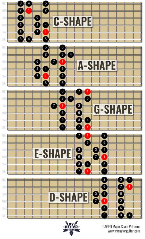 Major Scales Guitar, Chord Shapes Guitar, Major Scale Guitar Patterns, E Major Scale Guitar, G Major Scale Guitar, Guitar Caged System, A Major Scale Guitar, Guitar Major Scale, Caged Guitar System