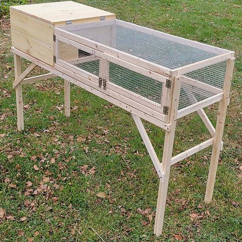 Rabbit Chicken Coop, Quail House Diy, Bobwhite Quail Coop, Quail Cages Diy How To Build, Quail Hutch Diy, Quail Cage Ideas, Quail Setup, Quails Cage, Quail Enclosure Ideas