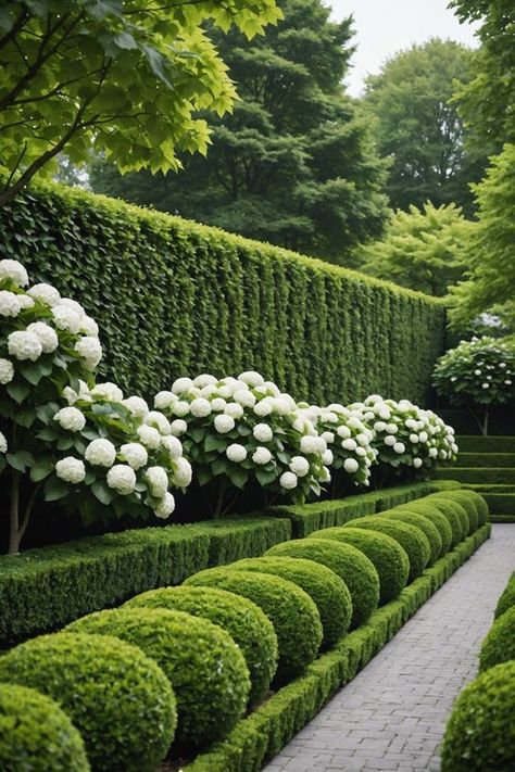 Luxury Backyard Garden, Front Garden Hydrangea, Stunning Garden Design, Small Hydrangea Garden, Modern English Garden Landscapes, Garden Flower Design, Exterior Plants Front Yards, Boxwoods And Hydrangeas Front Of House, Buxus Garden Ideas