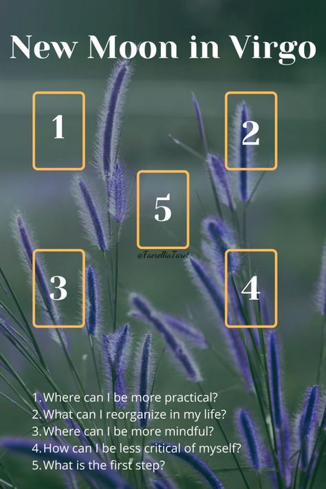 New Moon in Virgo Tarot Spread to help you determine where you can be more practical and resourceful. #virgo #virgoseason #tarot #tarotspread Virgo Tarot Spread, Virgo New Moon, New Moon In Virgo, Spreads Tarot, Oracle Card Spreads, Moon In Virgo, Tarot Reading Spreads, Tarot Cards For Beginners, Tarot Card Spreads