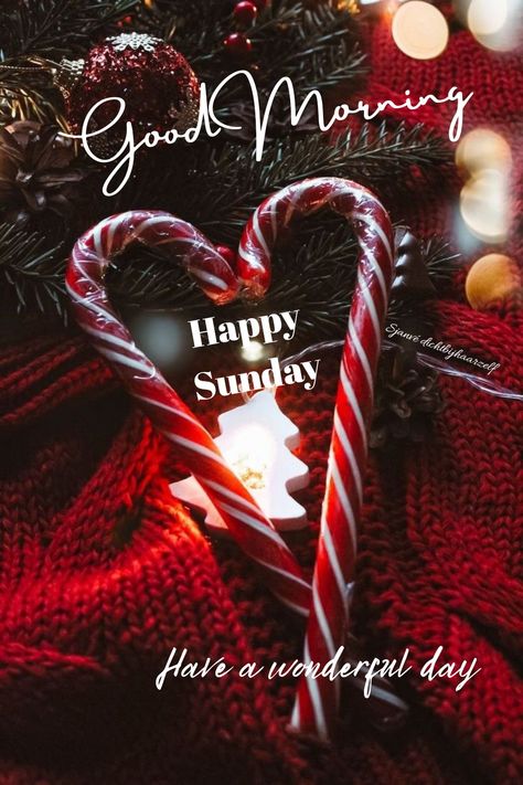 Christmas Goodmorning, Christmas Sunday, December Morning, Good Morning Winter, Good Morning Christmas, Morning Christmas, Sunday Morning Coffee, Morning Winter, December Quotes