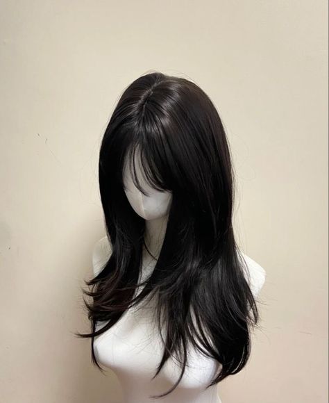 Cute Haircuts For Long Hair With Bangs, Totanakagawa Hair, Small Head Big Body, Hair Claims For Dr, Angel Ring Hair, Asian Layered Hair, Korean Hush Cut, Back Of Hair, Pretty Hair Cuts