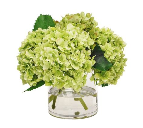 Presented in a clear glass vase, our Faux Green Hydrangeas add lasting style and greenery to your spaces, without any of the upkeep. Flowers Pottery, Charity Ball, Admin Assistant, Hydrangea Centerpiece, Glass Cylinder Vases, Vase Pottery, Faux Hydrangea, Hydrangea Bouquet, Table Flower