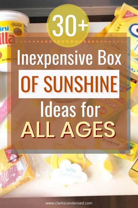 Sunshine Bags Ideas, Happiness Box Ideas, Sunshine In A Box Ideas, Fun In The Sun Gift Basket Ideas, Sunshine Jar Ideas, Basket Full Of Sunshine Gift Ideas, Sunshine Bag Ideas, Basket Full Of Sunshine, Cheer Up Box For Friend