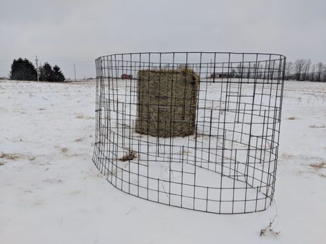 Diy Cow Hay Feeder, Cattle Panel Hay Feeder, Cow Hay Feeder, Diy Round Bale Feeder, Round Bale Feeder Diy, Round Bale Hay Feeder, Diy Hay Feeder, Cow Care, Round Bale Feeder