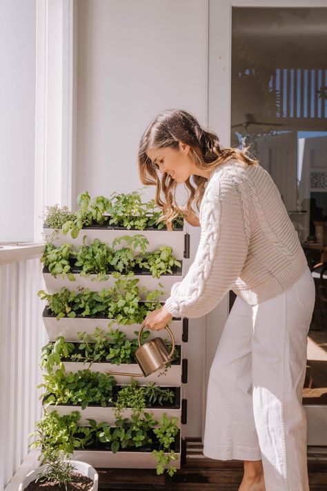 Herb Garden Ideas Balcony, Vegetable Garden In Balcony, Moveable Herb Garden, Indoor Vertical Vegetable Garden, Portable Herb Garden Diy, Modern Kitchen Herb Garden, Vertical Indoor Herb Garden, Vertical Garden Stand, Rooftop Herb Garden