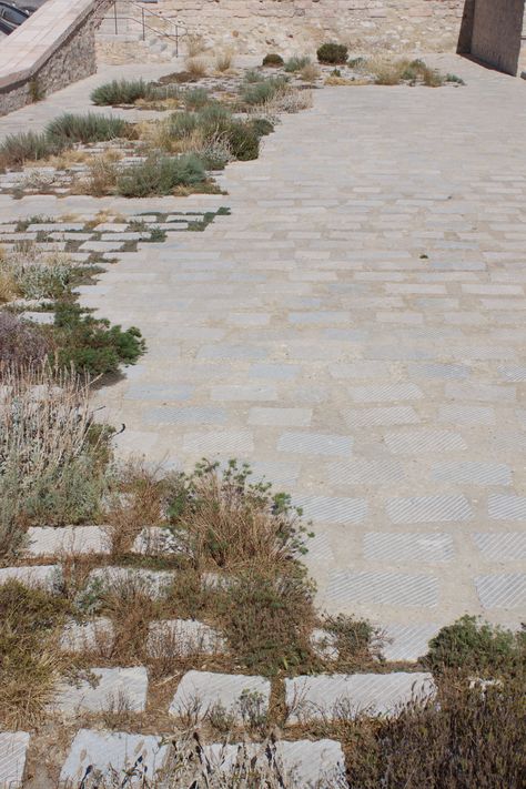 Terraced Landscape Design, Landscape Architecture Branding, Gradient Architecture, Landscape Pavement, Vegetation Architecture, Stone Pavement, Paving Pattern, Paving Ideas, Paving Design