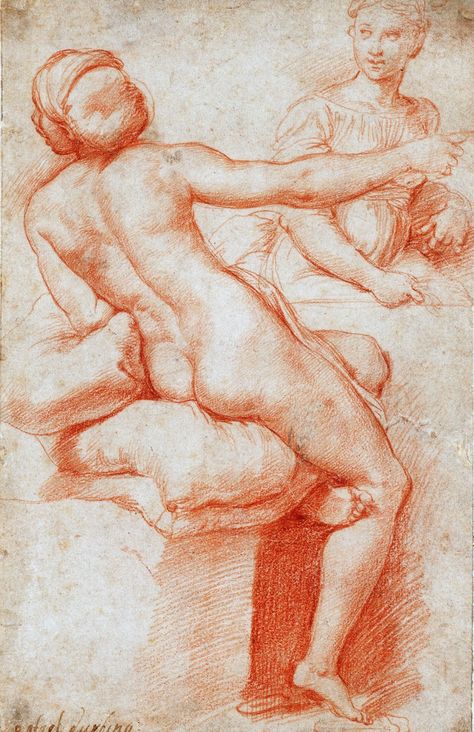 Michelangelo Paintings, Figure Drawing Female, Male Figure Drawing, Ancient Greek Sculpture, Human Anatomy Drawing, Master Drawing, Human Figure Drawing, Female Art Painting, Figure Drawing Reference