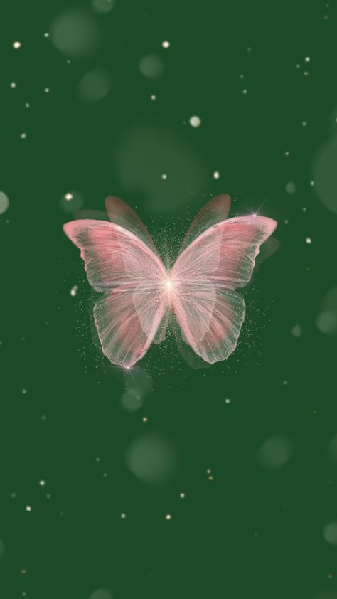 Pink And Green Butterfly, Butterfly Love, Wallpaper Tumblr, Green Butterfly, Butterfly Painting, Butterfly Wallpaper, Fluttershy, Phone Wallpapers, Pink Aesthetic