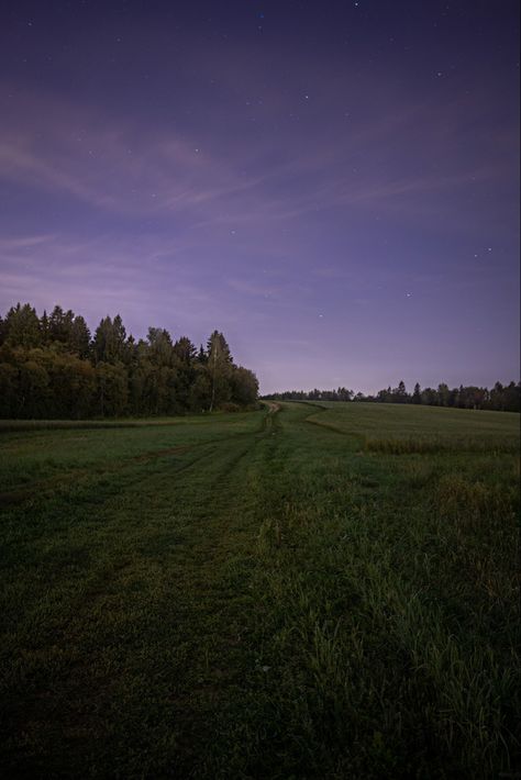 Night Grass Field, Field At Night Aesthetic, Dark Field Aesthetic, Green Field Aesthetic, Night Countryside, Night Field, Field At Night, Dark Field, Landscape Field