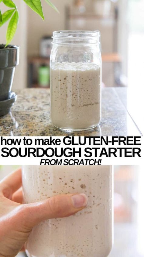 Gluten Free Sourdough Starter, Gluten Free Sourdough, Sans Gluten Sans Lactose, Gluten Free Living, Gluten Free Dairy Free Recipes, Gluten Free Eating, Gluten Free Recipes Easy, Think Food, Sem Lactose