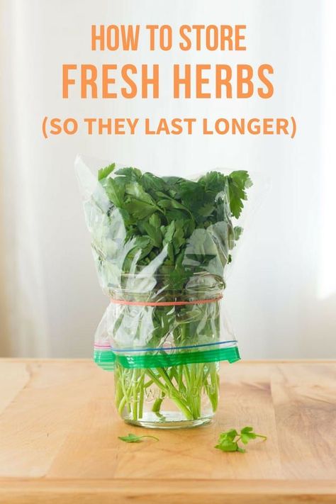 How to Store Fresh Herbs So They Last Longer Best Way To Store Cilantro Fresh Herbs, How To Keep Herbs Fresh, Keep Cilantro Fresh Longer, Keeping Herbs Fresh, How To Make Cilantro Last Longer, How To Freeze Fresh Rosemary, Fresh Herb Storage, Storing Fresh Herbs, How To Keep Cilantro Fresh Longer