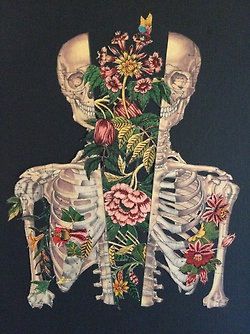 Skeleton split in half with flowers art Travis Bedel, Couple Drawing, Psy Art, Drawing Faces, Junji Ito, A Skeleton, Arte Inspo, Art And Illustration, Arte Horror