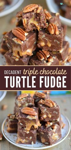 Turtle Fudge, Holiday Fudge Recipes, Best Fudge Recipe, Holiday Fudge, Chocolate Turtle, Nutella Fudge, Homemade Fudge Recipes, Mom On Timeout, Chocolate Turtles