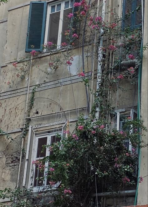 vintage aesthetic windows flowers building Old Flower Shop, Flowers Building, Windows Flowers, Apocalypse Au, 50s Vibes, Flower Window, Plant Shop, School Class, Class Projects