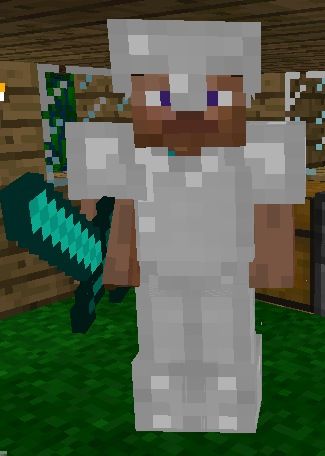 Minecraft Armor, Minecraft Iron, Iron Armor, Minecraft Toys, Minecraft Steve, Halloween 2023, Iron Doors, Swords, Sonic